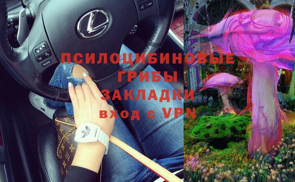 скорость Алзамай