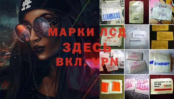 эйфоретик Алексин