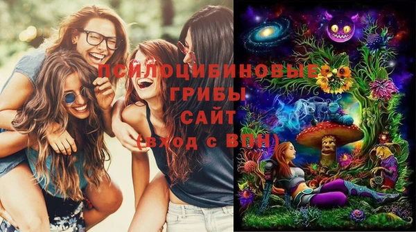 дживик Алексеевка