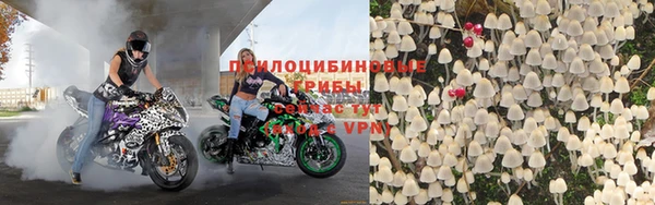 скорость Алзамай