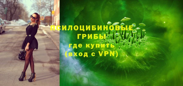 эйфоретик Алексин