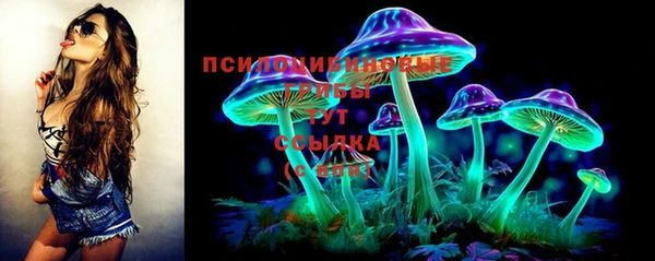 эйфоретик Алексин