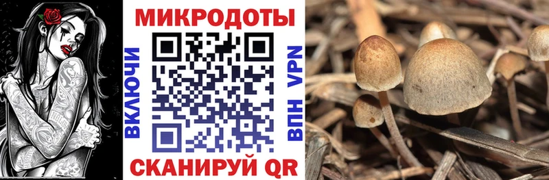 Галлюциногенные грибы мицелий  KRAKEN tor  Хотьково  где продают  